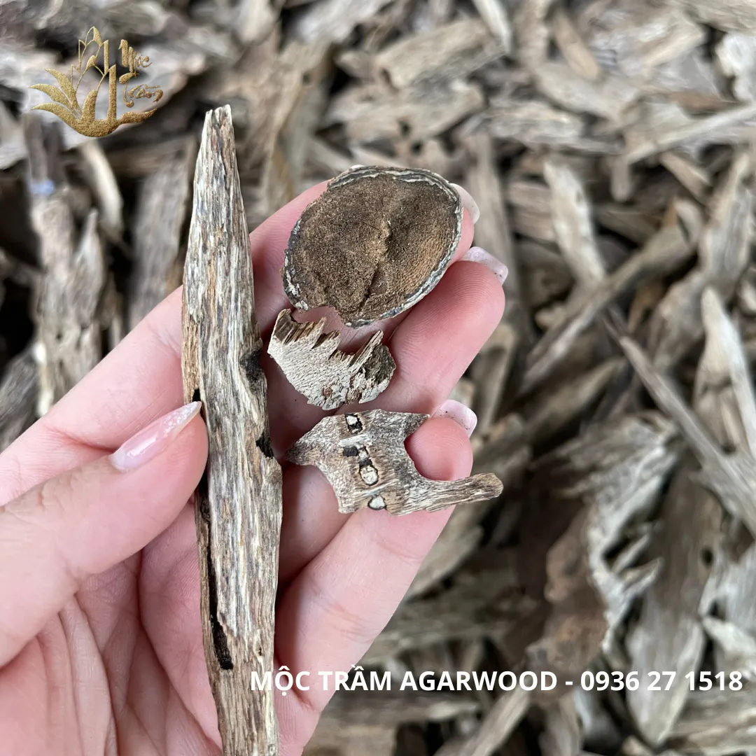 Natural Vietnamese Kien Xi Agarwood Chips – Resinous Oud Pieces (Multiple Weights Available)